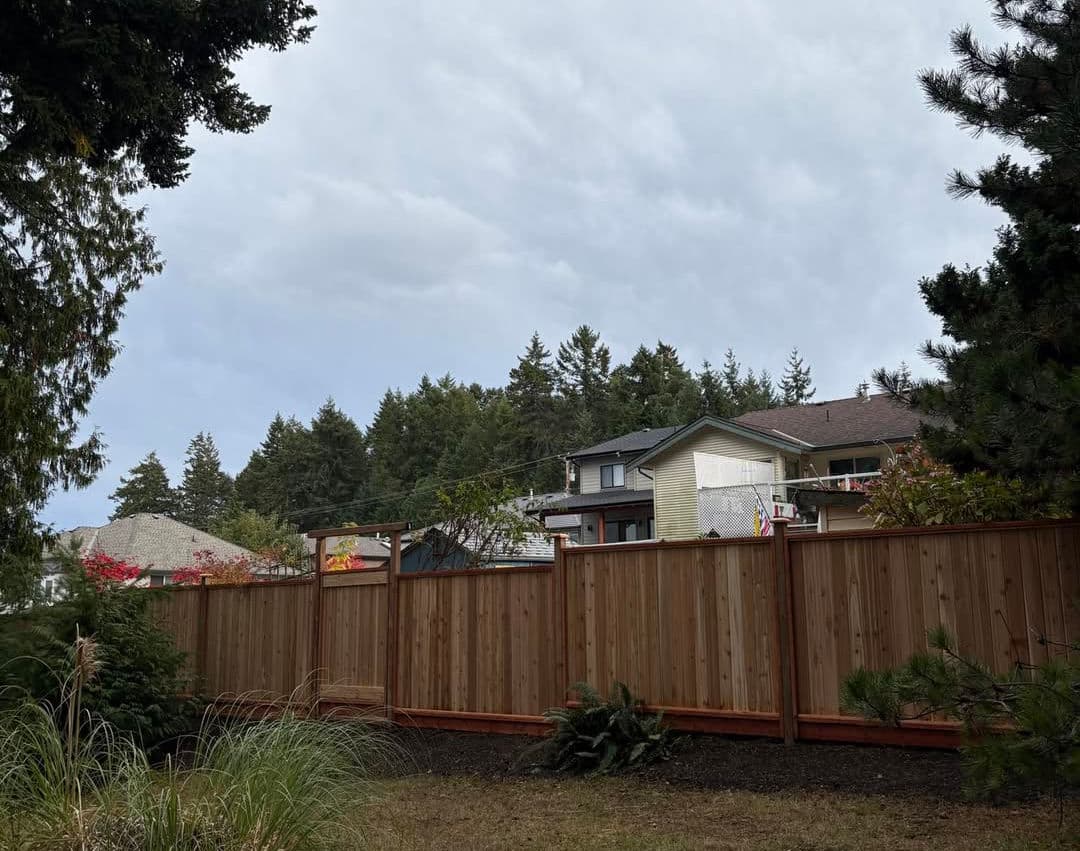 Wooden fence in a backyard with houses and pine trees under a cloudy sky.