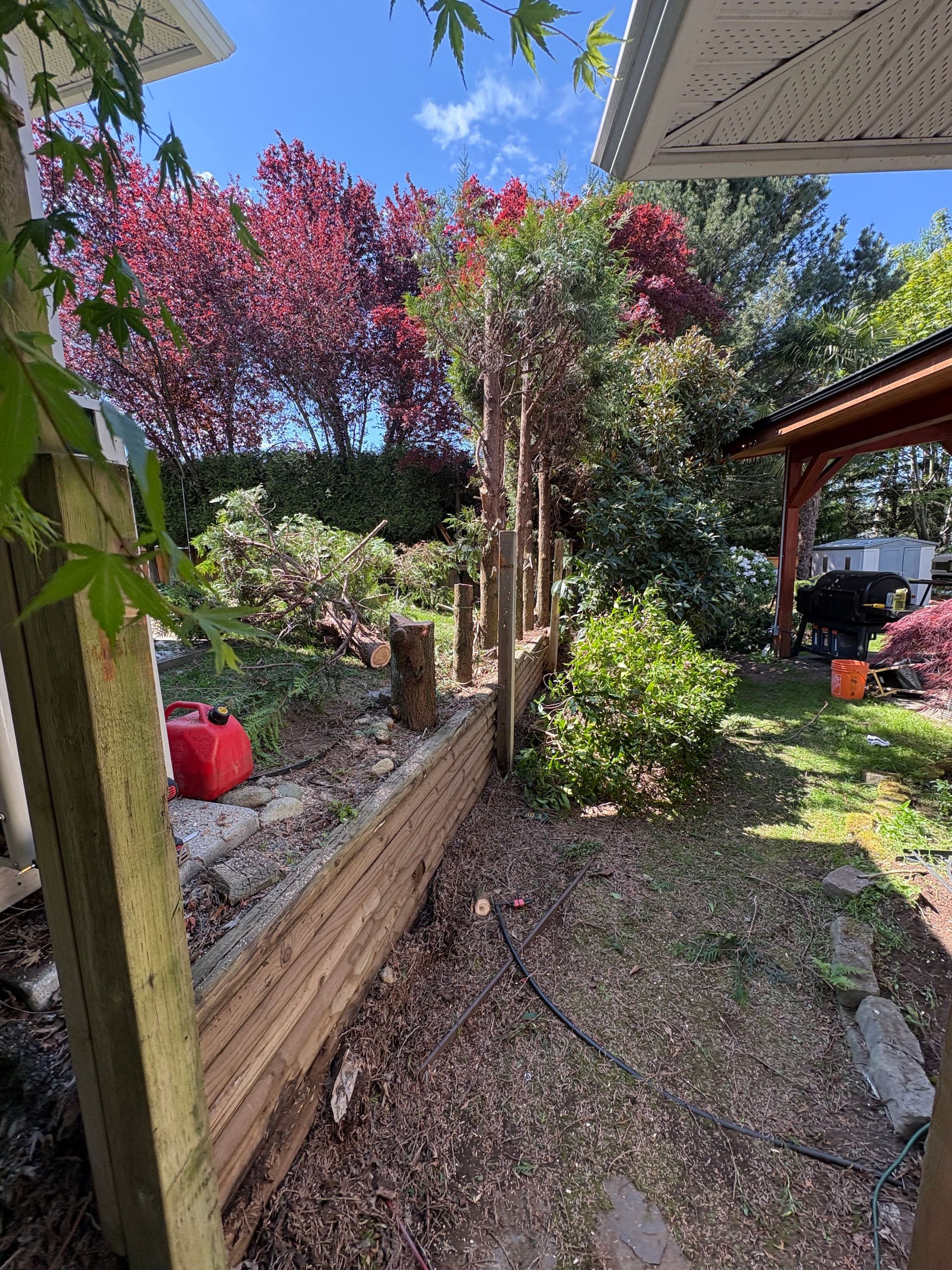 Cedar Fence and Retaining Wall Give This Yard Real Structure image